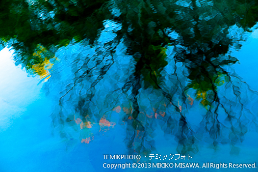 Blog-12-5
水面の反射・冬景色　（東京）　　7477